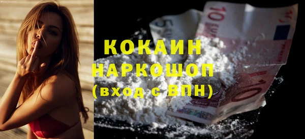 крисы Няндома