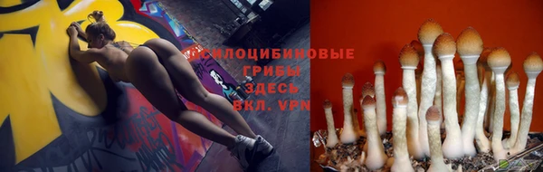 ECSTASY Вуктыл