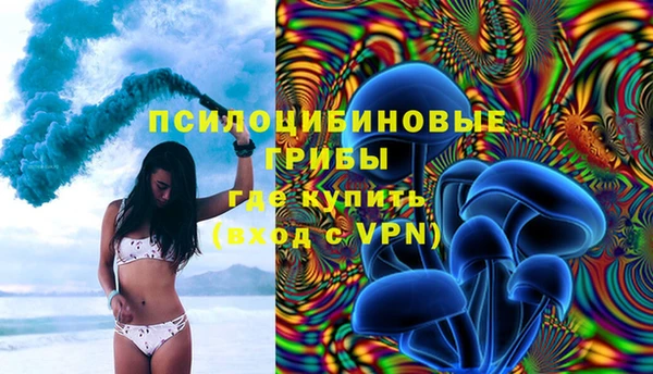 трава Весьегонск