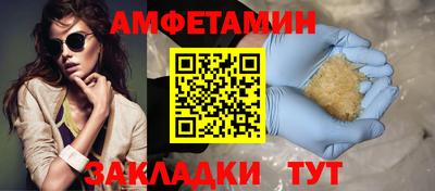 трава Кингисепп