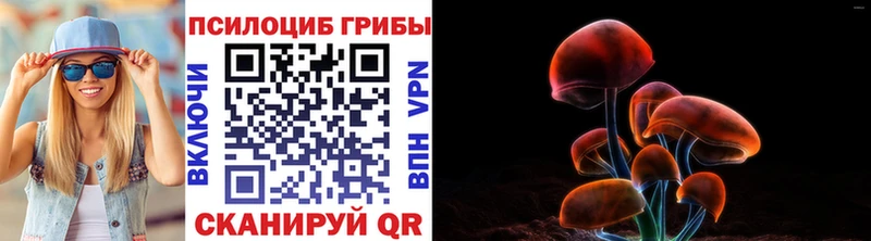где купить наркотик  Стрежевой  Псилоцибиновые грибы Psilocybine cubensis 