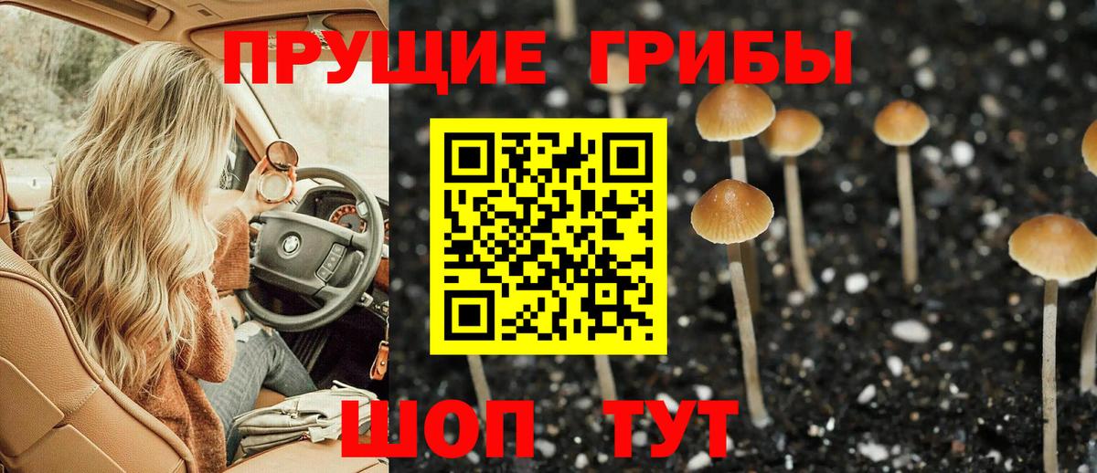 Стрежевой  Галлюциногенные грибы Psilocybe  Вход с VPN 